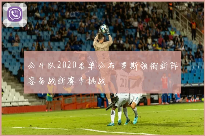 公牛队2020名单公布 罗斯领衔新阵容备战新赛季挑战