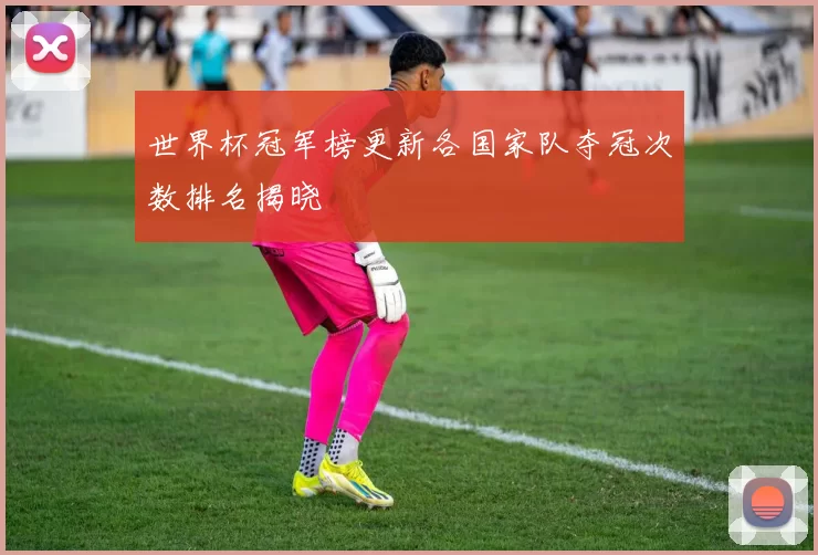世界杯冠军榜更新各国家队夺冠次数排名揭晓